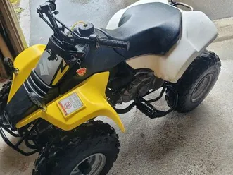 quad suzuki