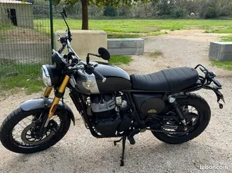 royal enflied 650 bear