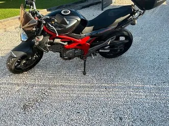 650 suzuki gladius