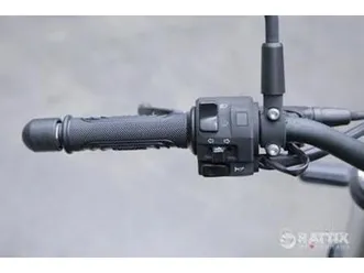 benelli leoncino 500