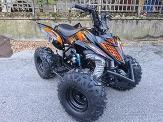 quad raptor 110 cc ruote 7