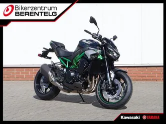 kawasaki z900 metallic moondust gray 2025