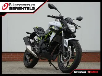 kawasaki z125 br125l