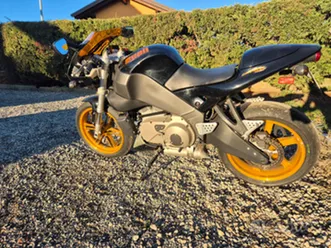 buell xb12r firebolt