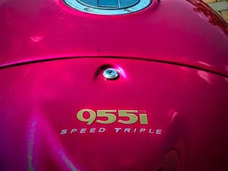 triumph speed triple