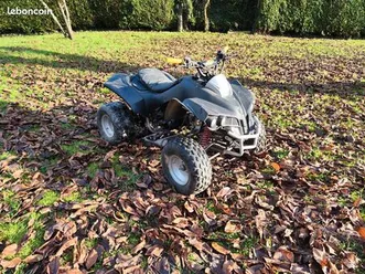 lot quad 125 chinois tbeg