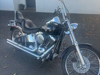 harley davidson softail custom