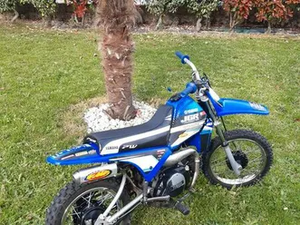 80 pw yamaha