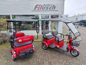 cargo runner passenger 25km/h| 2-sitzer oder laderaum ! |rikscha