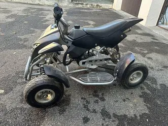 mini quad benzin canton argovie -