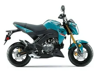 2021 kawasaki z125 pro