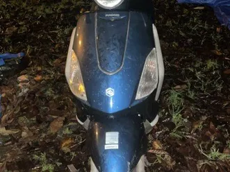 scooter piaggio fly
