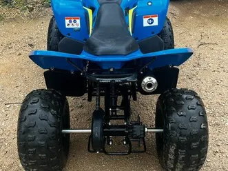 quad 110