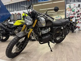 royal enfield bear 650 golden shadow
