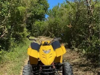 quad adly 50 supersonic rare