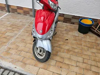 peugeot v-clic für bastler