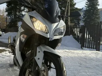 kawasaki ninja 300 blachówka