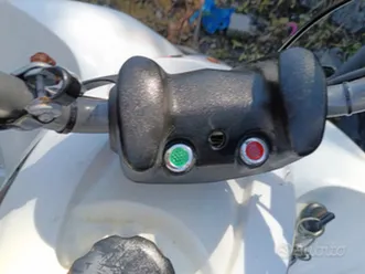 quad lem 150 a benzina