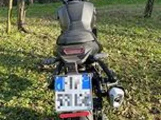 bonelli leoncino 125 cc