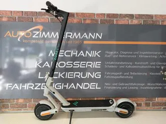 egret ey! 3 e-roller (9 zoll, ice grey)