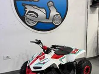 velocifero mini quad