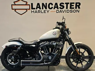 2022 harley-davidson® iron 883™ white gold pearl xl883n