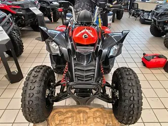 quad can-am 250 ds