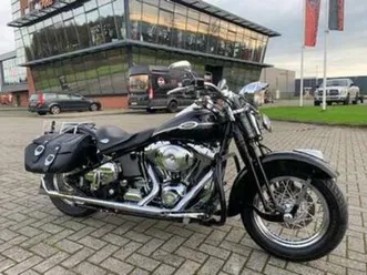 harley-davidson flstsc springer flsts fxsts (bj 2005) — motoren | harley-davidson — marktplaats