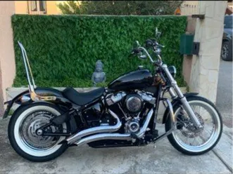 harley davidson softail standard 2024