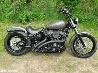 harley-davidson softail street bob