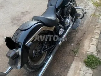 harley davidson fatboy softaile