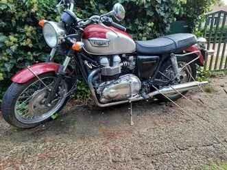 triumph bonneville t 100