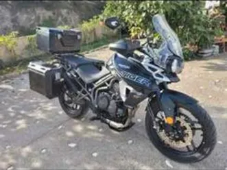 triumph - tiger