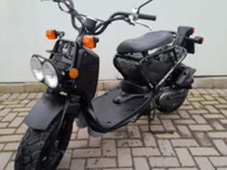 honda zoomer 50