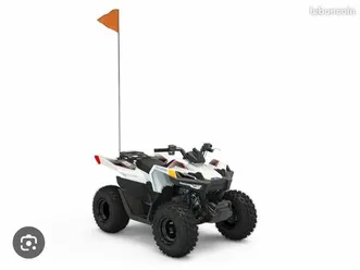 quad polaris 70