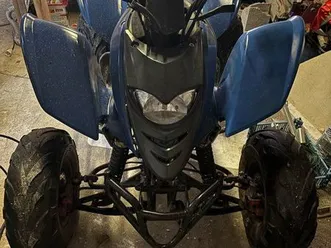 quad 250 cc