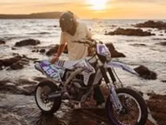 suzuki rm 250 - 2009