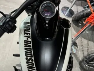 harley-davidson softail fat bob 1745 2019 1745 cm3 | moto custom | 14 200 km | blanc | 62360 st leonard