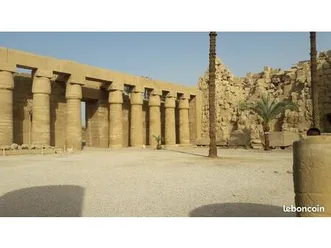 ycf 50 monster energie