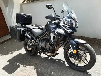 tiger 800 xrx 2019