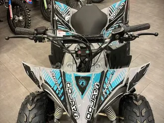 ? quad sano predator 110 cc – automatique + marche arrière