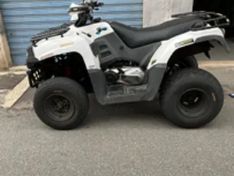 quad aeon crossland s 300