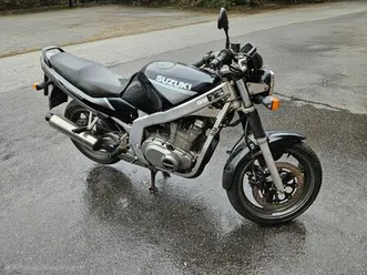 suzuki gs500e
