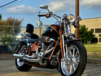 2008 screamin' eagle® softail® springer® anniversary