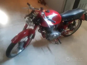 vendita morini gt 175