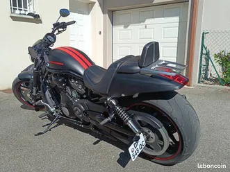 harley night rod spécial