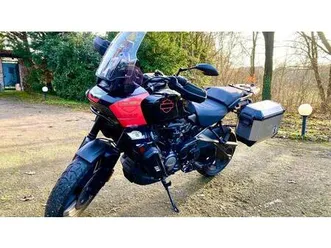 vendo harley-davidson pan america 1250 (2020 - 25) usata a magenta (codice 9894696) - moto.it