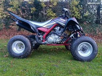 quad raptor 700