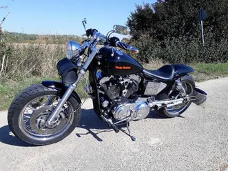 harley-davidson 1200 custom-lottermann