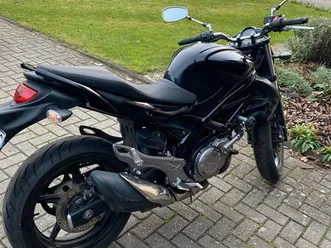 suzuki gladius
